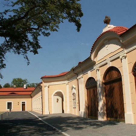 ביסיצה Chateau Liblice מראה חיצוני תמונה